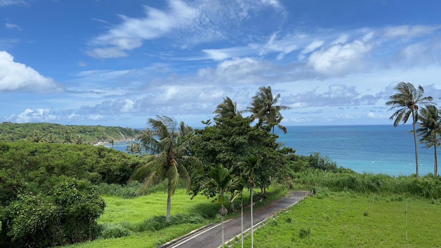 春夏秋冬海景民宿ocean View Motel 成功鎮 エクステリア 写真